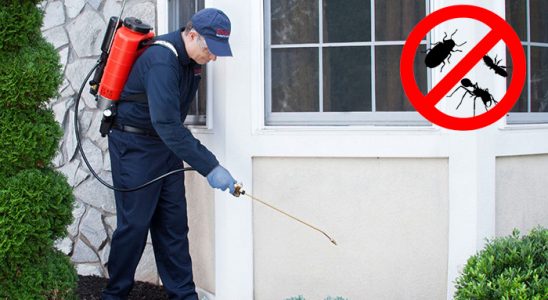Eskifoça Haşere İlaçlama böcek ilaçlama ve haşere kontrolü — ilaclama-tr.com